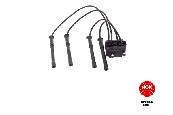 Ritė, uždegimas NGK 48007