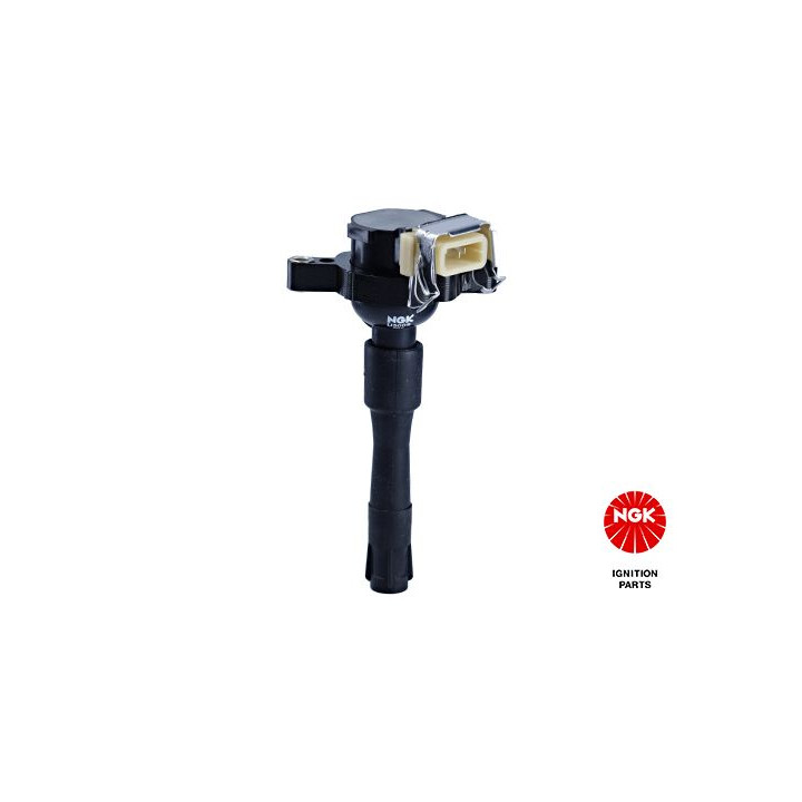 Ritė, uždegimas NGK 48009