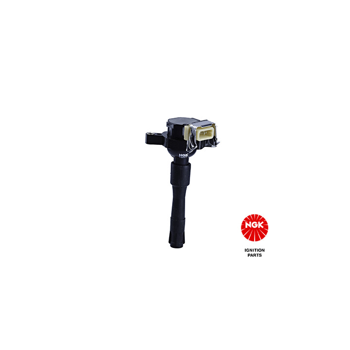 Ritė, uždegimas NGK 48009