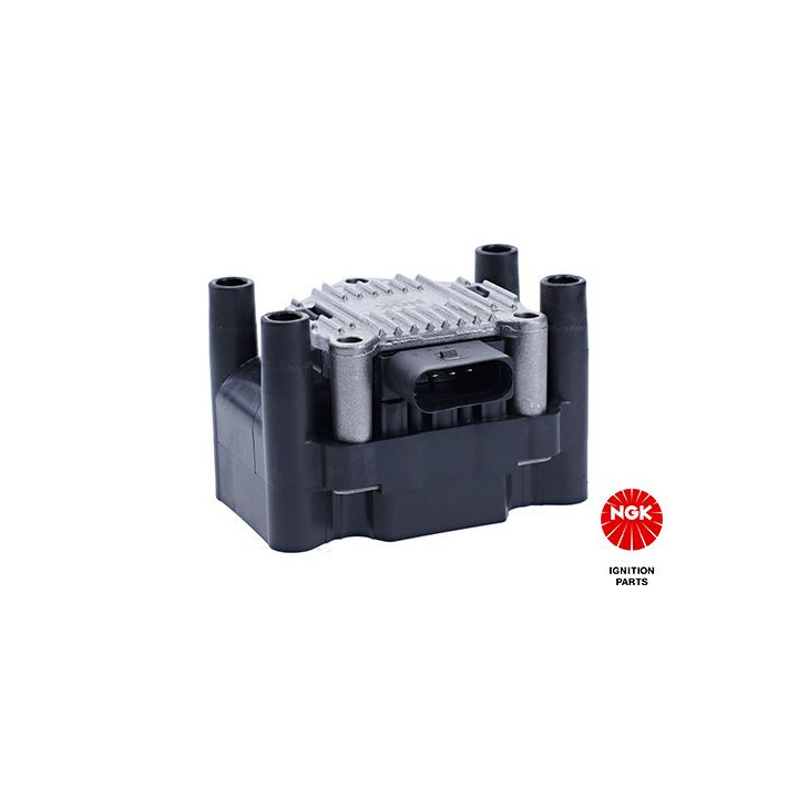 Ritė, uždegimas NGK 48010