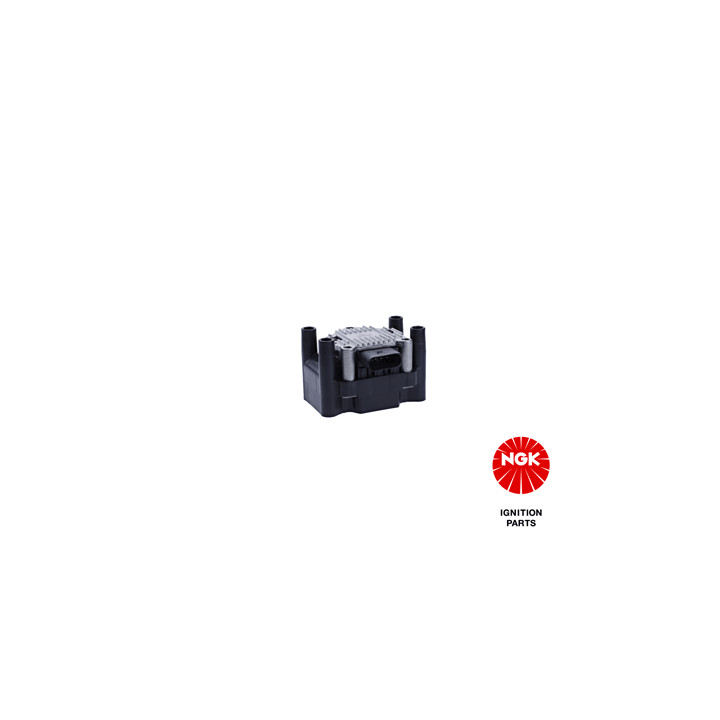 Ritė, uždegimas NGK 48010