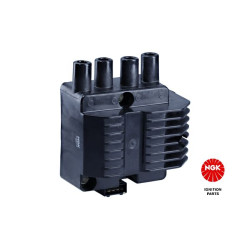 Ritė, uždegimas NGK 48012