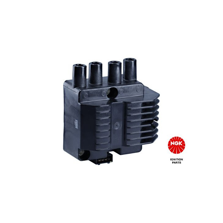 Ritė, uždegimas NGK 48012