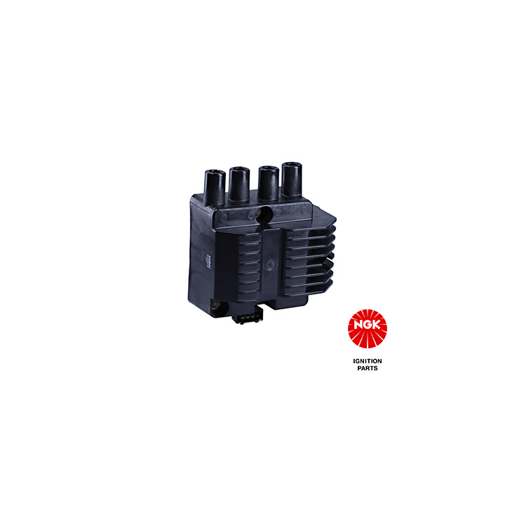 Ritė, uždegimas NGK 48012