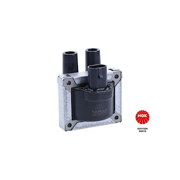 Ritė, uždegimas NGK 48013