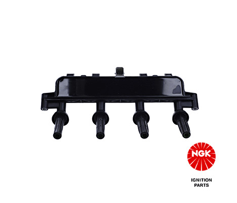 Ritė, uždegimas NGK 48016