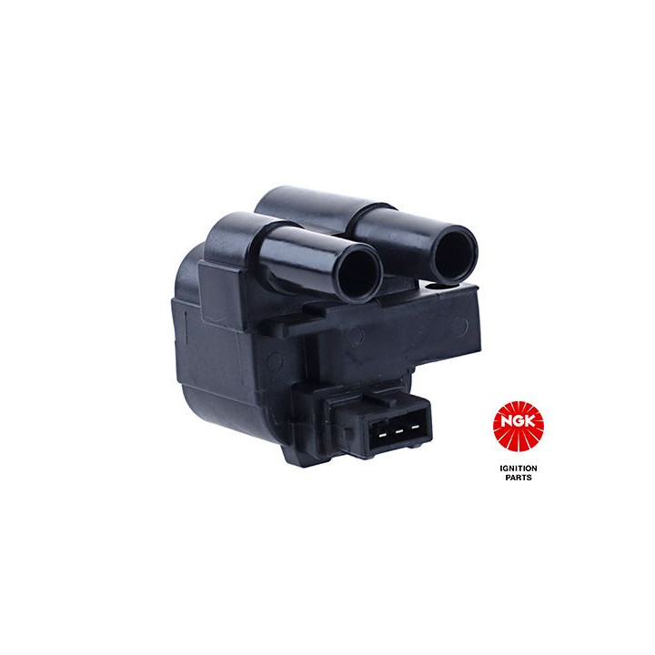 Ritė, uždegimas NGK 48019