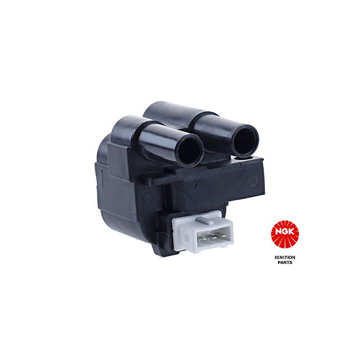 Ritė, uždegimas NGK 48020