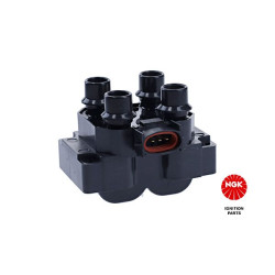 Ritė, uždegimas NGK 48021