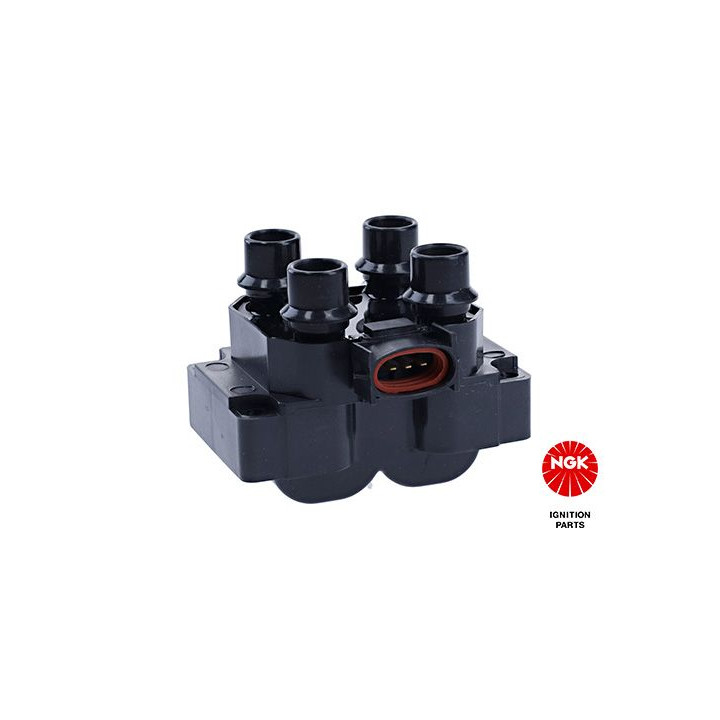 Ritė, uždegimas NGK 48021