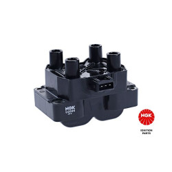 Ritė, uždegimas NGK 48025