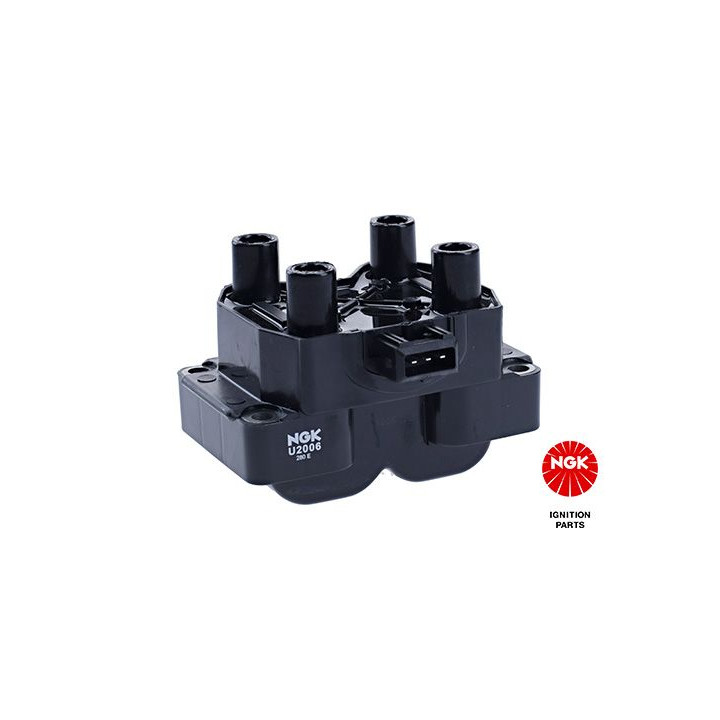 Ritė, uždegimas NGK 48025