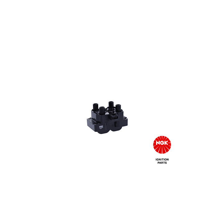 Ritė, uždegimas NGK 48025