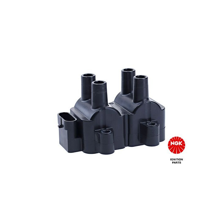 Ritė, uždegimas NGK 48026