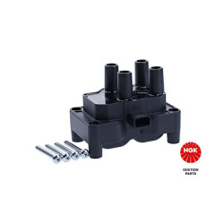 Ritė, uždegimas NGK 48027