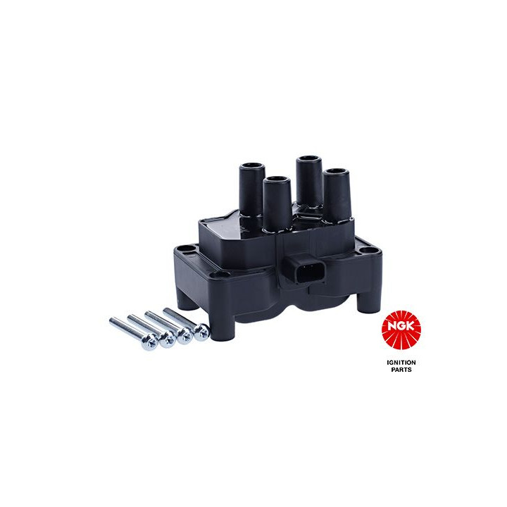 Ritė, uždegimas NGK 48027