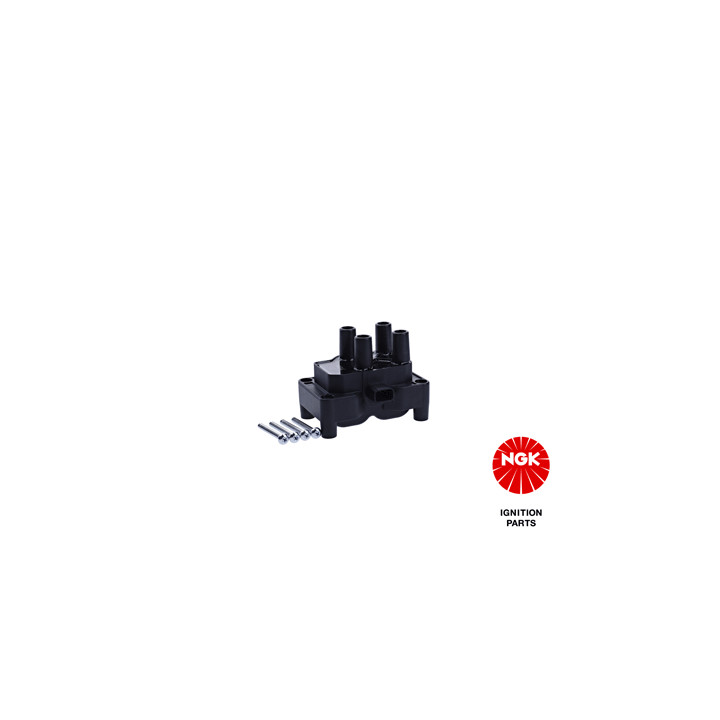 Ritė, uždegimas NGK 48027