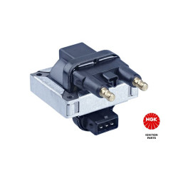 Ritė, uždegimas NGK 48028