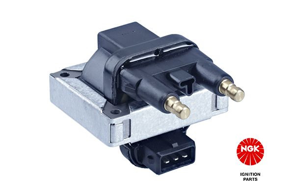 Ritė, uždegimas NGK 48028