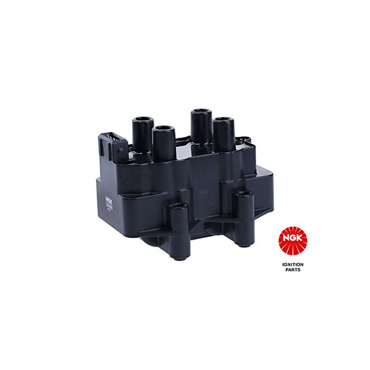 Ritė, uždegimas NGK 48030