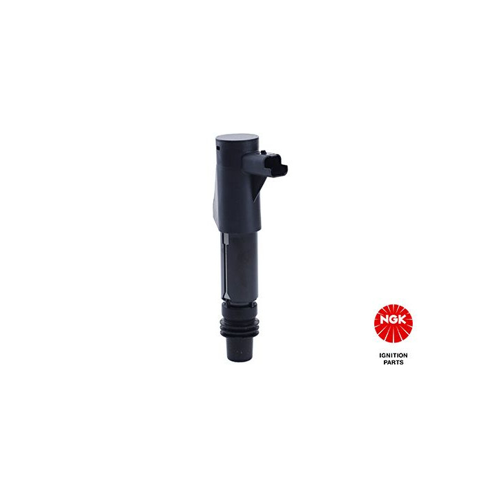 Ritė, uždegimas NGK 48031