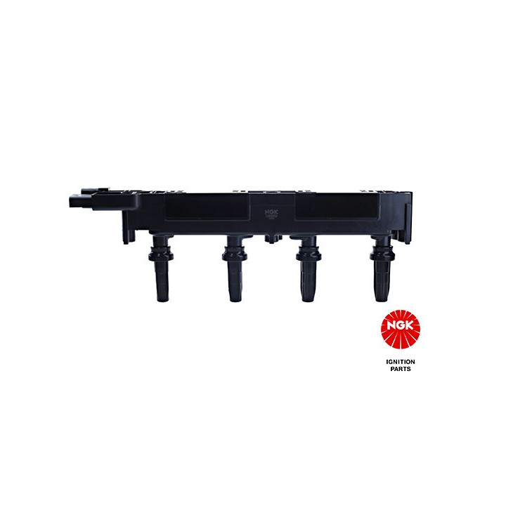 Ritė, uždegimas NGK 48032