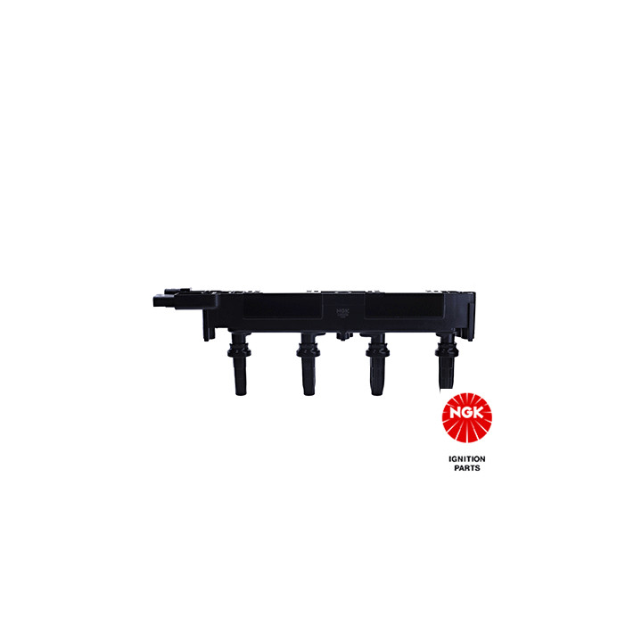 Ritė, uždegimas NGK 48032