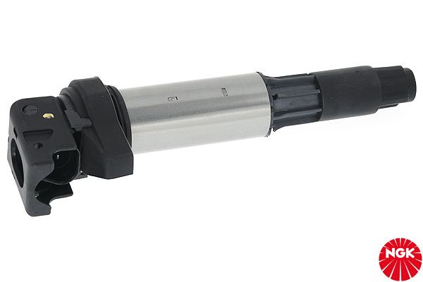 Ritė, uždegimas NGK 48033