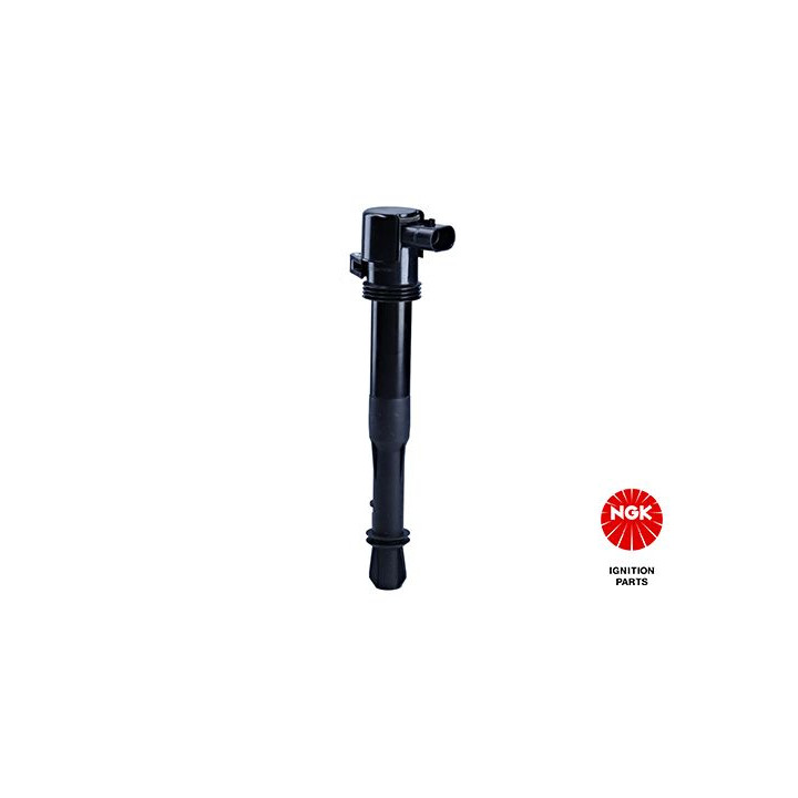 Ritė, uždegimas NGK 48034