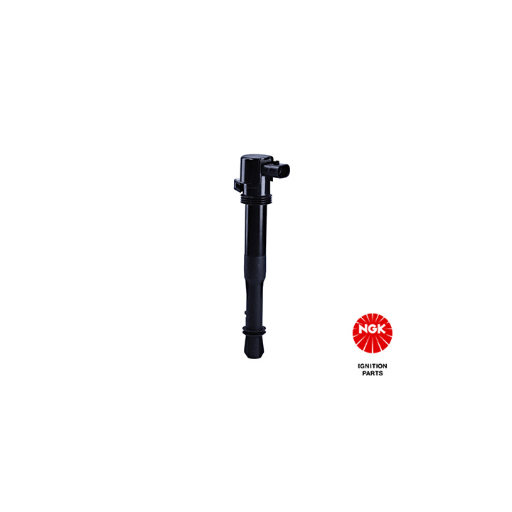 Ritė, uždegimas NGK 48034