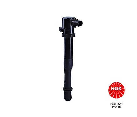 Ritė, uždegimas NGK 48034