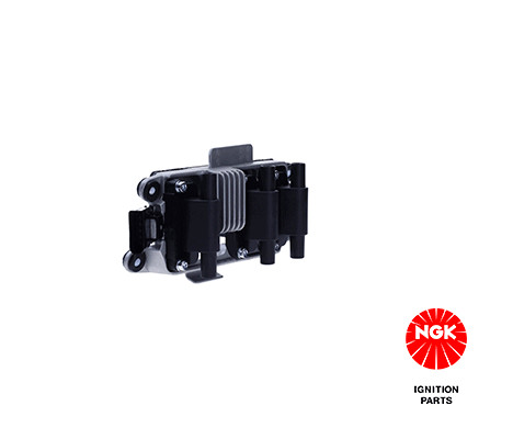 Ritė, uždegimas NGK 48037