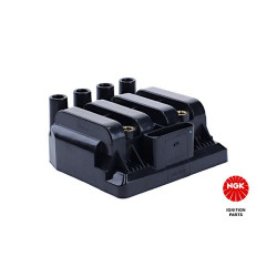 Ritė, uždegimas NGK 48038