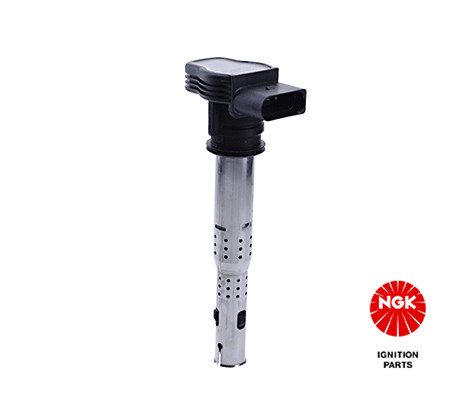 Ritė, uždegimas NGK 48042