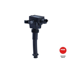 Ritė, uždegimas NGK 48046