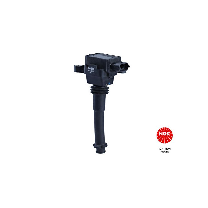 Ritė, uždegimas NGK 48046