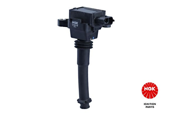 Ritė, uždegimas NGK 48046