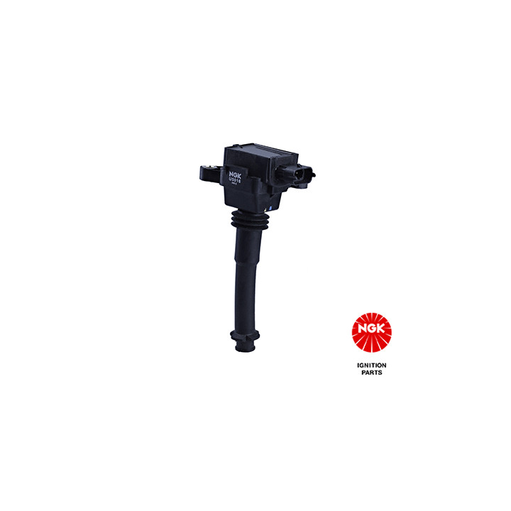 Ritė, uždegimas NGK 48046