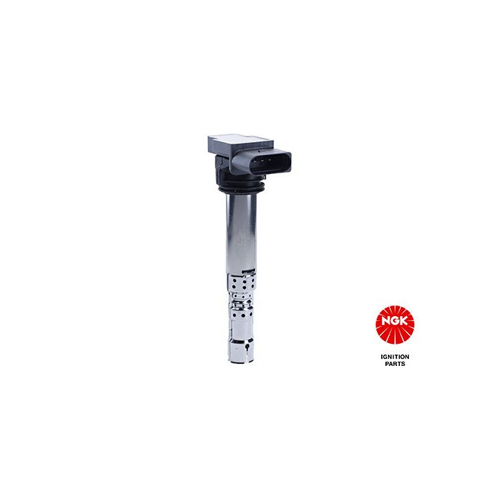 Ritė, uždegimas NGK 48047