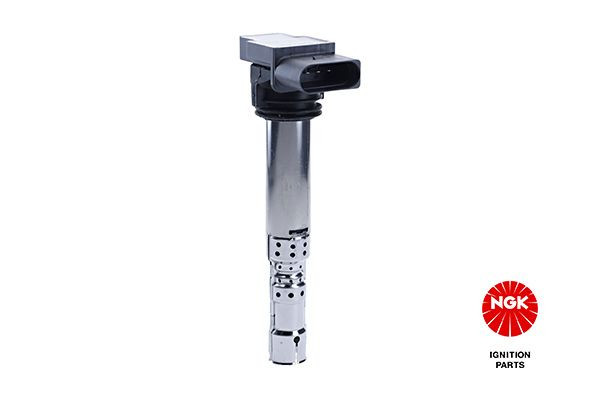 Ritė, uždegimas NGK 48047