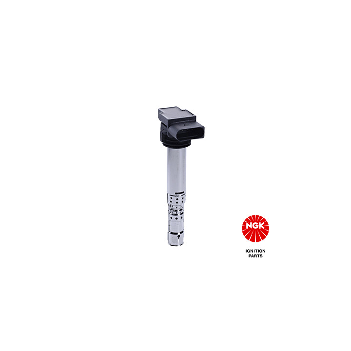 Ritė, uždegimas NGK 48047