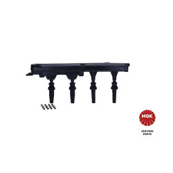 Ritė, uždegimas NGK 48051