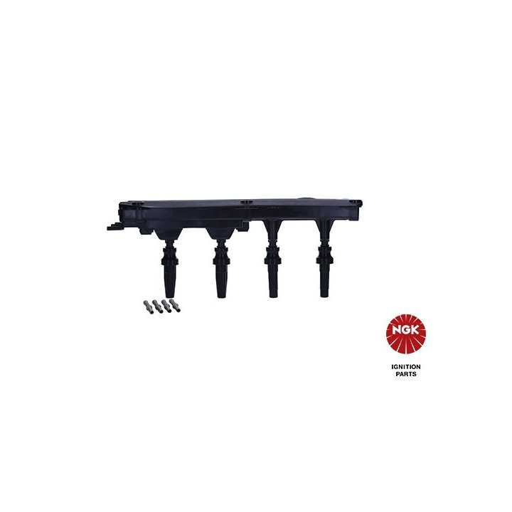 Ritė, uždegimas NGK 48051