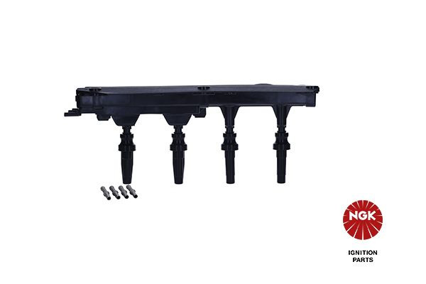 Ritė, uždegimas NGK 48051