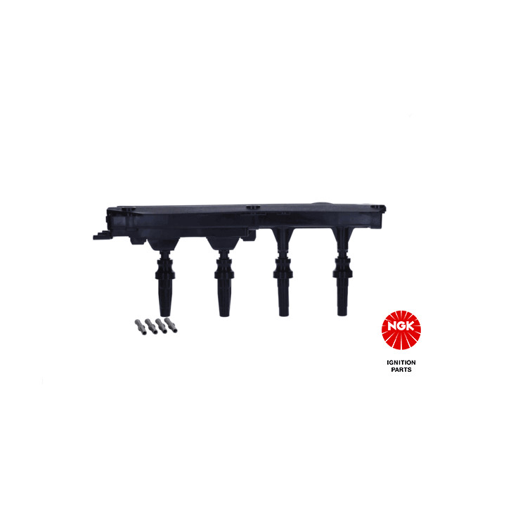 Ritė, uždegimas NGK 48051