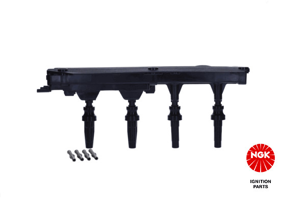 Ritė, uždegimas NGK 48051