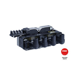 Ritė, uždegimas NGK 48052