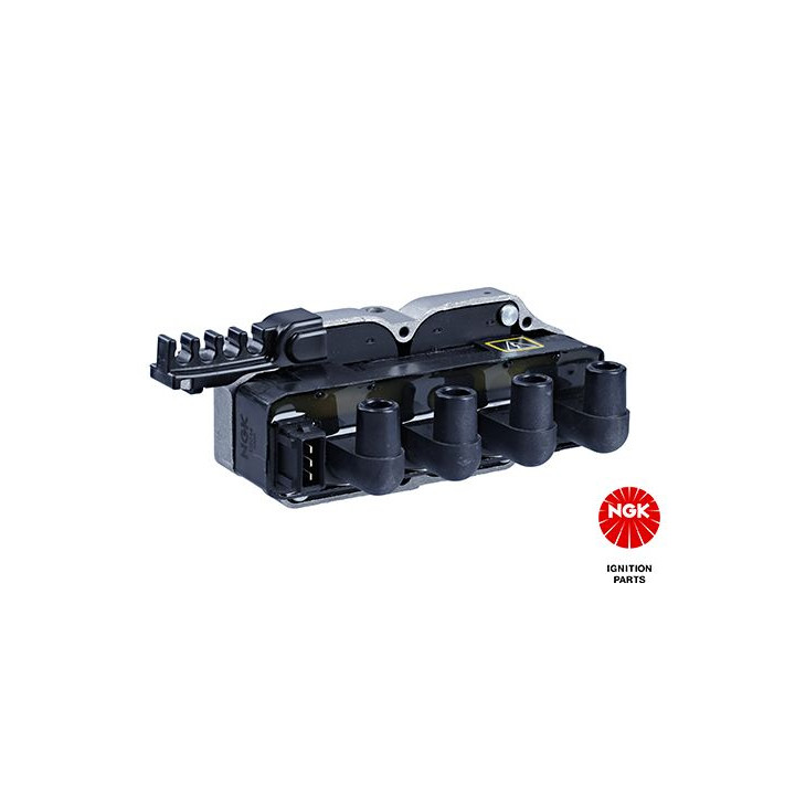 Ritė, uždegimas NGK 48052