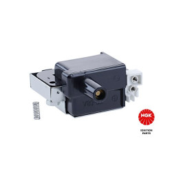 Ritė, uždegimas NGK 48054