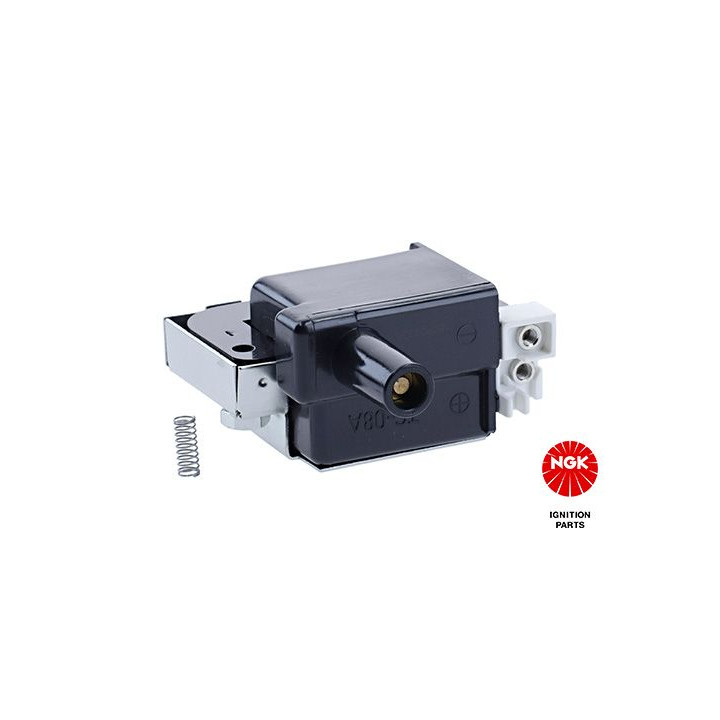 Ritė, uždegimas NGK 48054